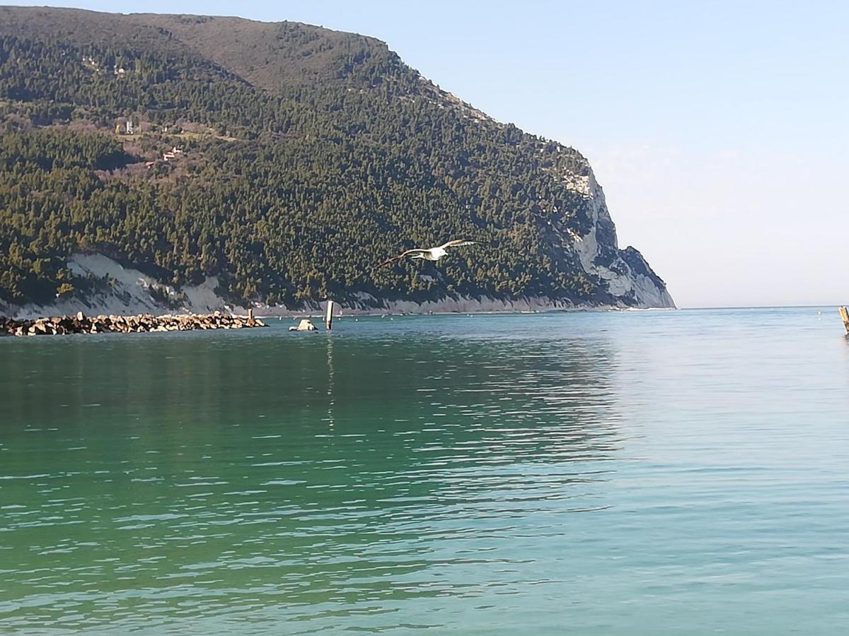 Hotel La Casina Di Sonia Ancona Exteriér fotografie